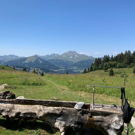 Chalet Yuki Morzine Extérieur photo