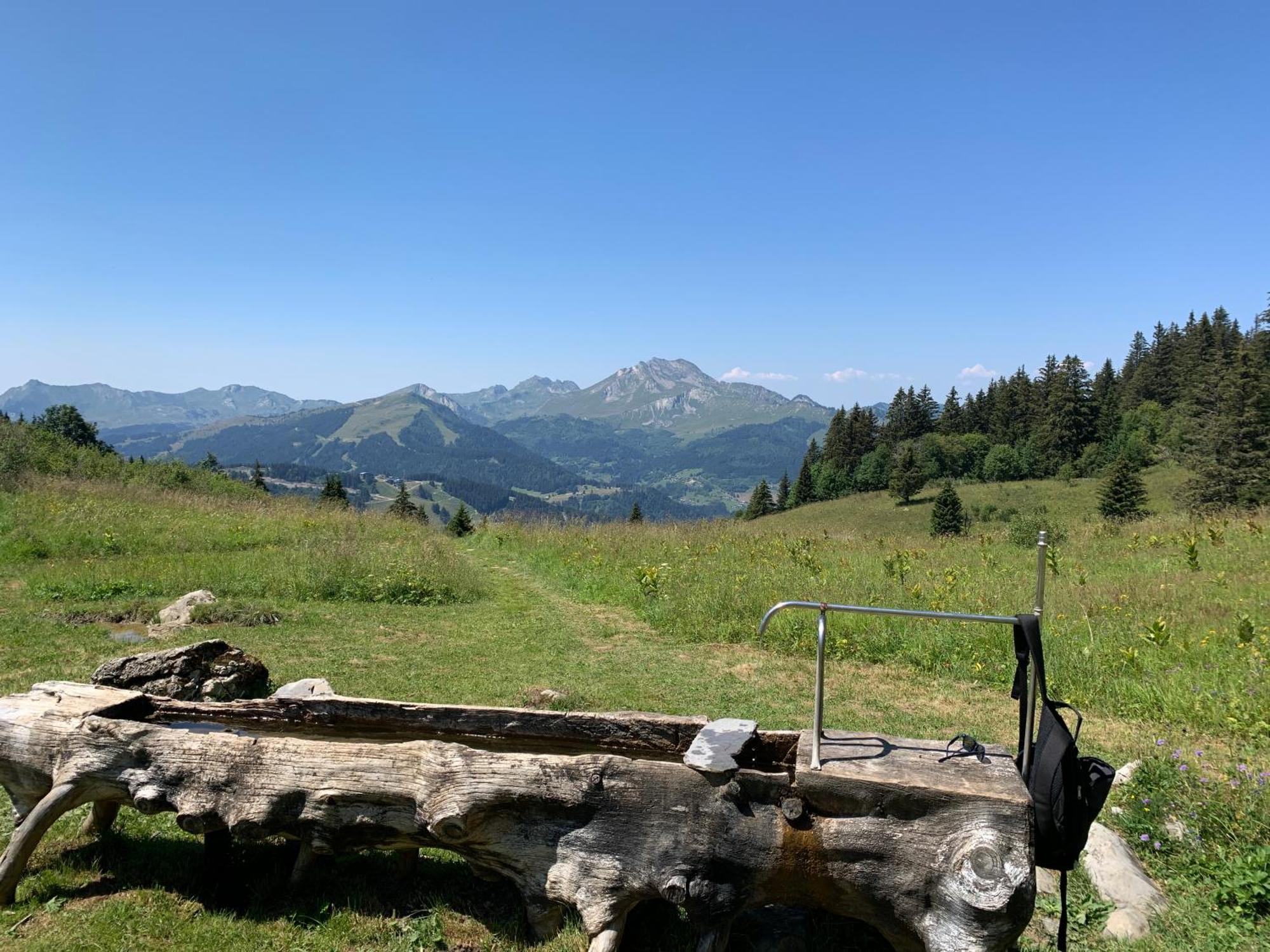 Chalet Yuki Morzine Extérieur photo